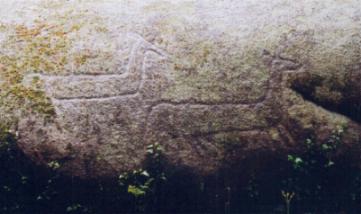 cabras.JPG (14494 bytes)