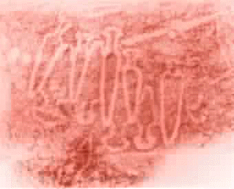 mata1.JPG (4096 bytes)