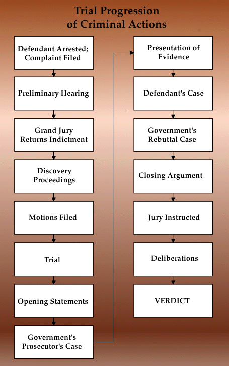 Criminal Case Flow Chart