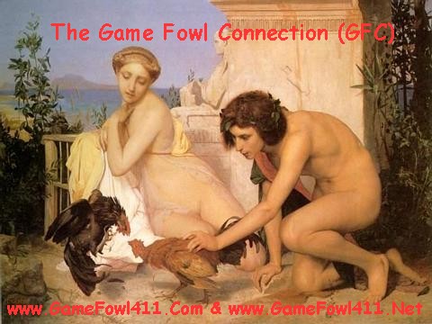 GFC - The COMPLETE Game Fowl Information Station!
