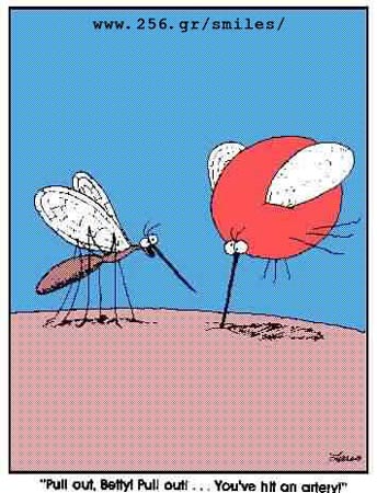 142