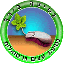 In Your Hands - Virtual TreePlanting for the Birthdayu of the Knesset