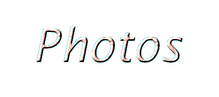 Photo Album
