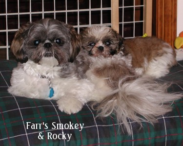 Farr's Smokey & Rocky