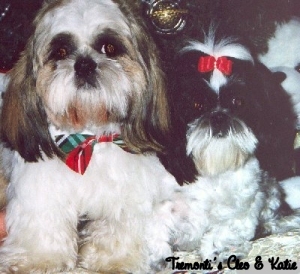 Tremonti's Cleo & Katie