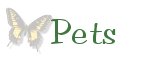 pets