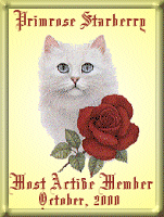 Primmy, Most Active October, 2000
