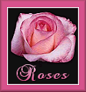 Rose Badge