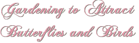 Butterfly and Bird Banner