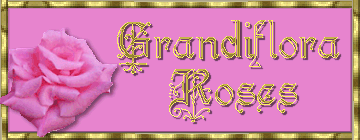 Grandiflora Banner