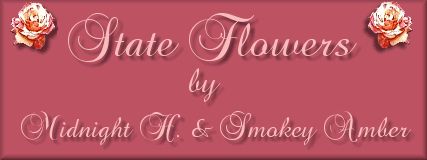 State Flowers Banner