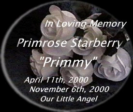 To Primmy from her Siblings