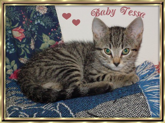 Baby Tessa