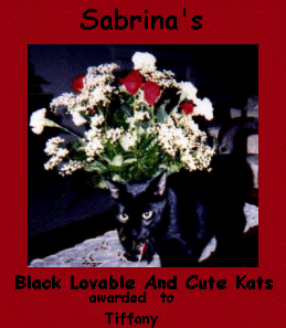 BlackCatTiffanyAward