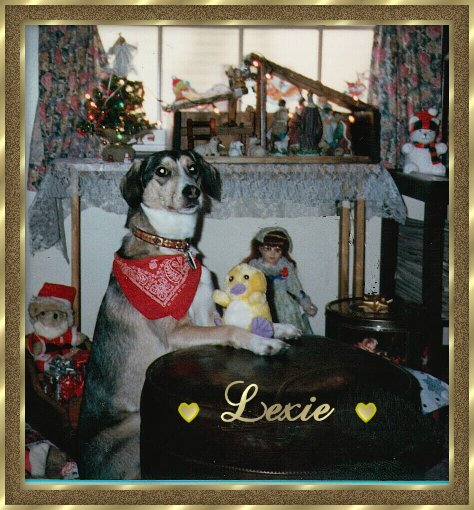 Lexie