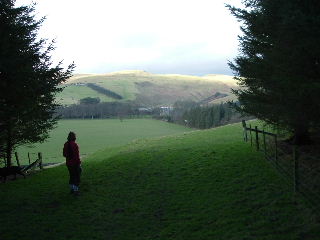 Green hills