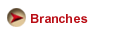 branches
