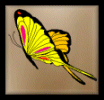butterflyright.gif