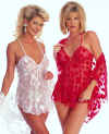 lingerie-2672l_-_use_this.jpg (75838 bytes)