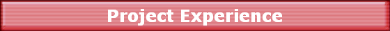 Project Experience