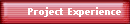       Project Experience
