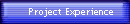       Project Experience