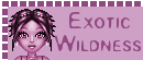 exoticw3.gif (3661 bytes)