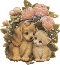 Pup and Kit
