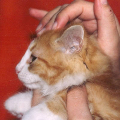 Arwën 2 meses perfil