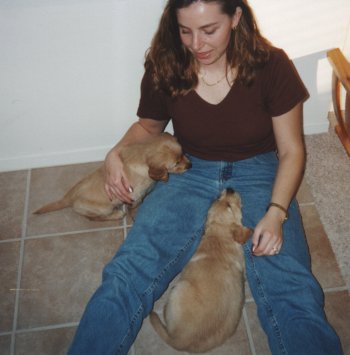 [Dogsamy]