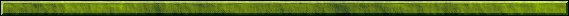 [Moss Bar]