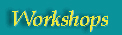  Workshops 