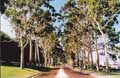 Fraser Ave Kings Park WA
