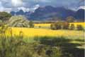 Stirling Ranges W.A.
