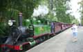 Steam Train