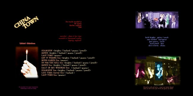 'Skint Chicken' CD available at mp3.com