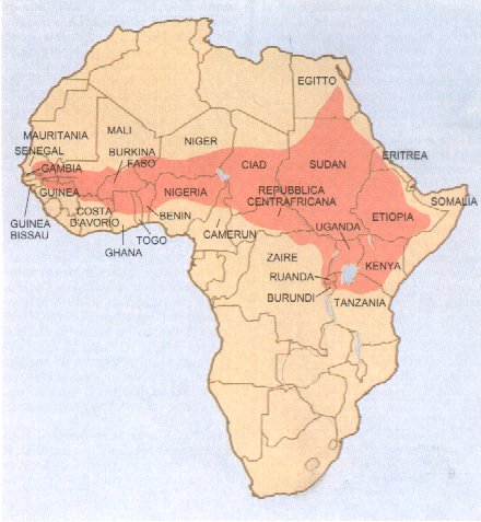 africa.jpg (49383 bytes)