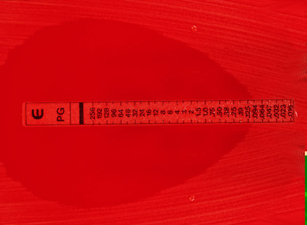 c9b_etest.jpg (43759 bytes)