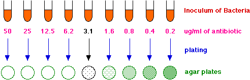 mic.gif (4850 bytes)