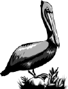 Shada.gif (7319 bytes)