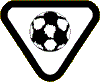 team_player.gif (3874 bytes)