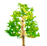 tree1.gif (2312 bytes)