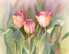 tulips in vase
