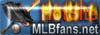 MLB Fans HotSite
