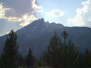 IMAGE003