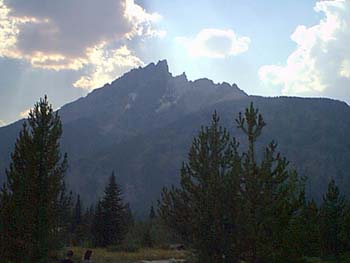 IMAGE004