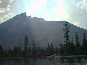 IMAGE007