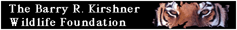 WildlifeFoundation