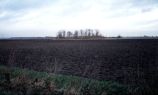 Friskney Fen