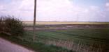 Gosberton Marsh